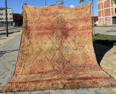 VERKOCHT beni mguild vloerkleed 62312 270cm x 200cm 