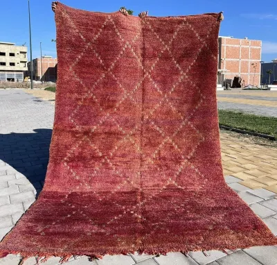 beni mguild vloerkleed 21212 285cm x 171cm 