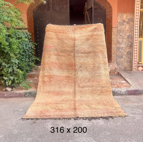 VERKOCHT beni mguild vloerkleed 68999 316cm x 200cm  