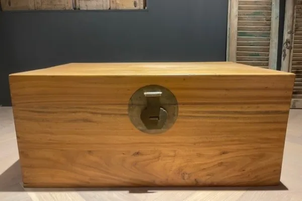 Antieke Chinese houten kist 
