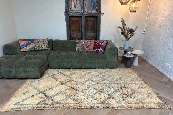 Beni mguild vloerkleed 89712 285cm x 160cm.