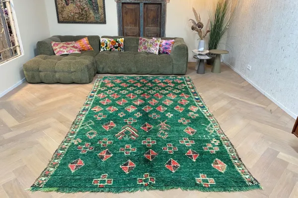 beni mguild vloerkleed 88008 310cm x 190cm