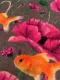 Droogloopmat bloemen met goudvissen 85502 ontworpen door Opfleuren met Fleuren Leverbaar eind juni