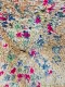 Beni Mguild 11285 377cm x 203 cm  