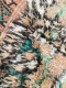 beni mguild vloerkleed 43714 316cm x 187cm  