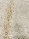 Beni ouarain Teppich 49615 300cm x 165cm