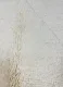 Beni ouarain 79814 305cm x 200cm
