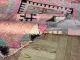 beni mguild 33111 278cm x 184cm