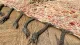 beni mguild 26428 250cm x 183cm