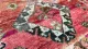 beni mguild 26427 245cm x 194cm